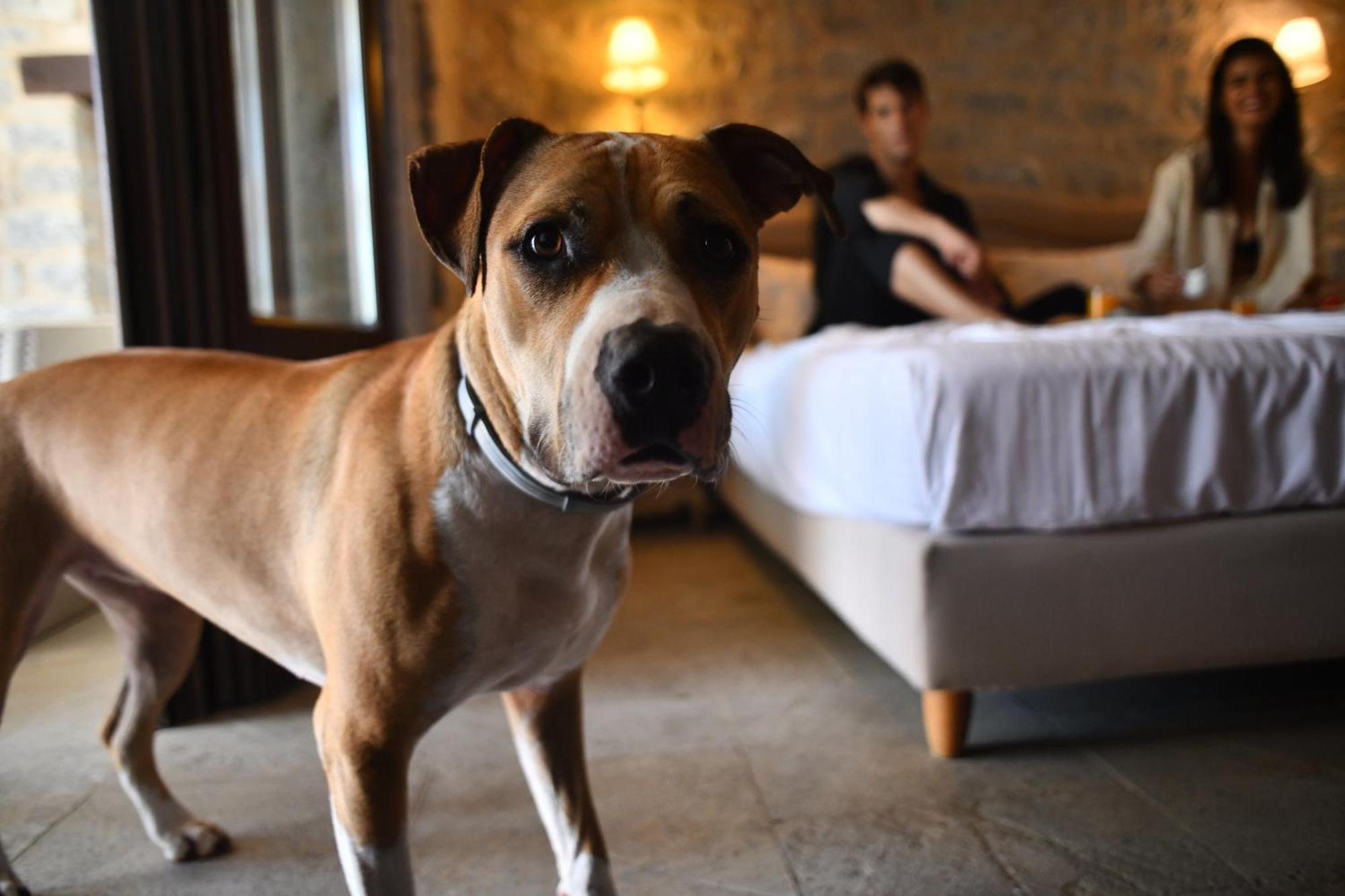 Petra & Fos Boutique Hotel & Spa Oitylo Zewnętrze zdjęcie
